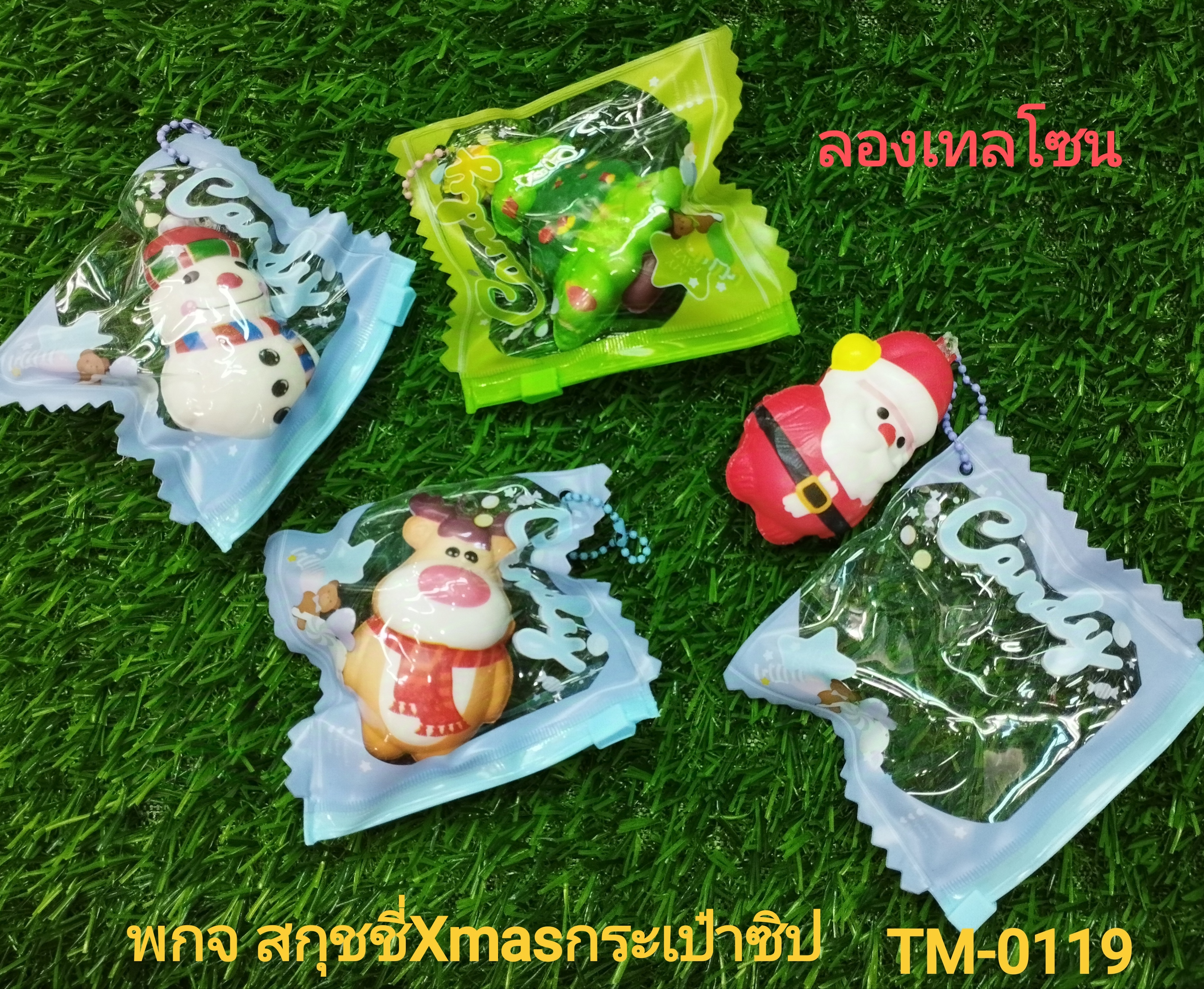 พกจ สกุชชี่ Xmasกระเป๋าซิป TM0119